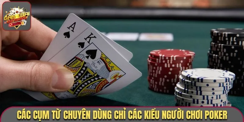 Các cụm từ chuyên dùng chỉ các kiểu người chơi Poker